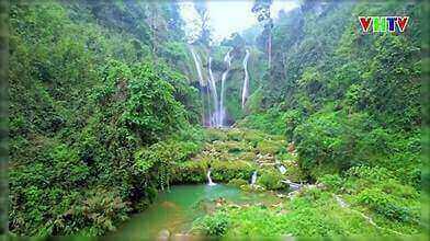 妖精の滝：美しい野生の美しさ