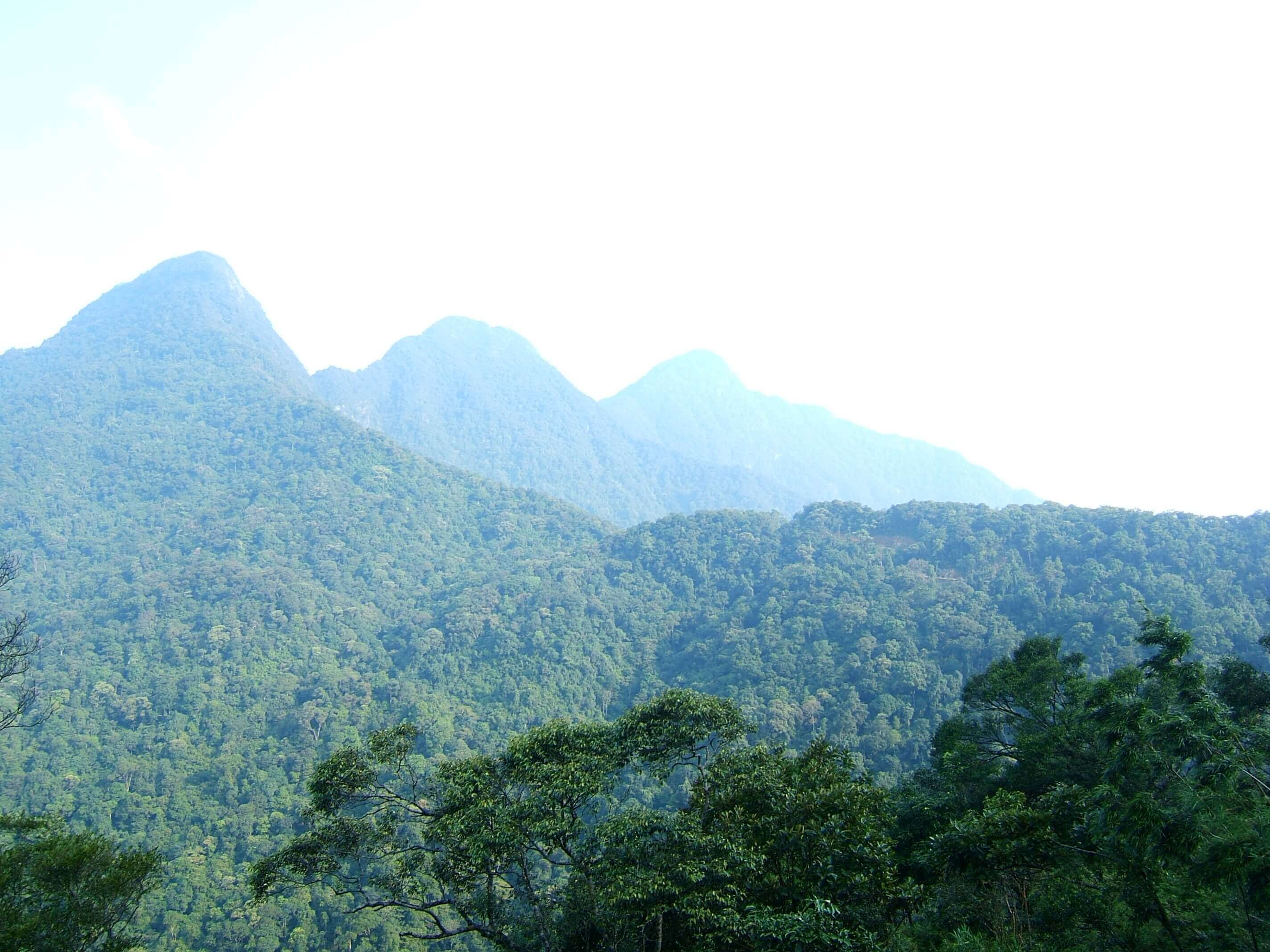 Vườn quốc gia Tam Đảo