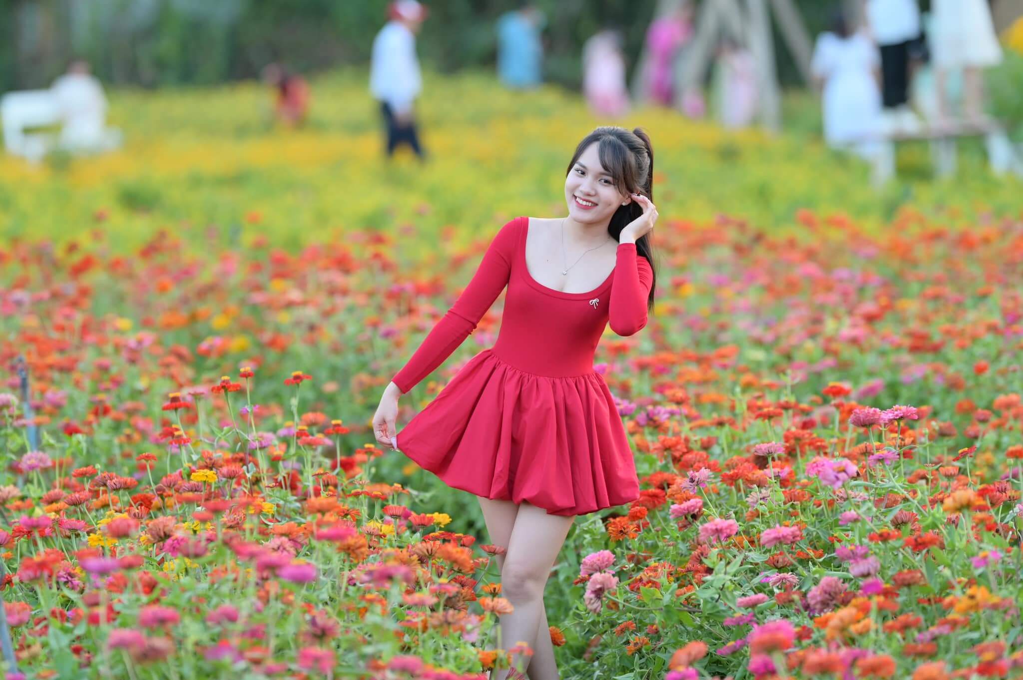 Vườn hoa Mãn Đình Hồng