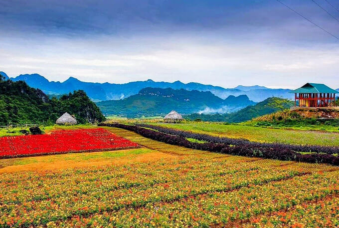 Bình Nguyên Xanh Khai Trung