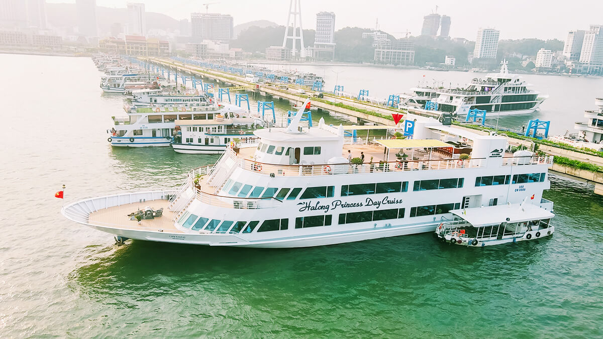 プリンセスデイリークルーズ 5*