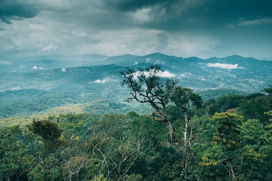 비두누이바 국립공원