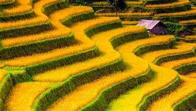 ホアンスーピの季節の美しさ