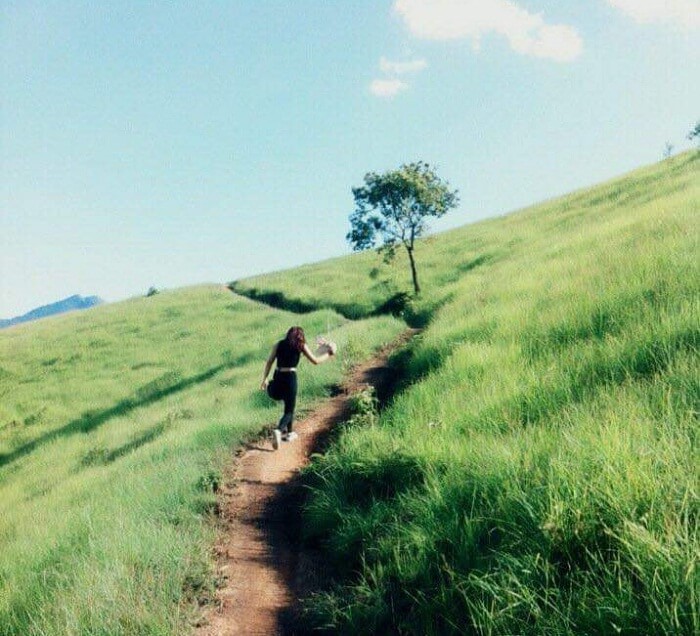 Đồng cỏ Phiêng Mường