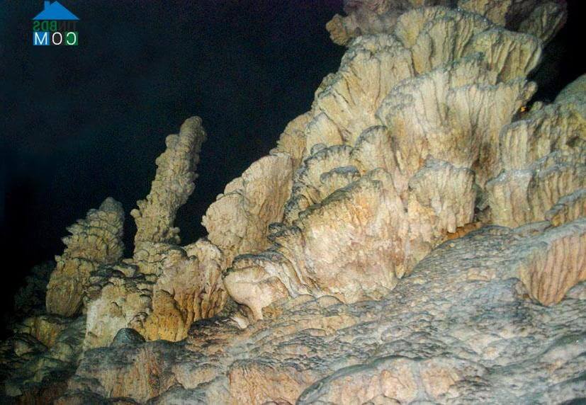 Hang Dơi ( Động Dơi)