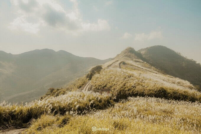 Đồi Bù Hà Nội