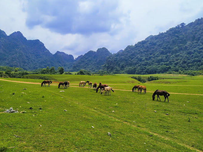 Thảo nguyên Đồng Lâm - Mông cổ thu nhỏ tại Việt Nam