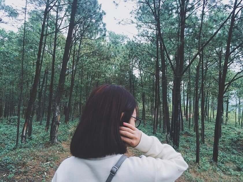 Khu du lịch sinh thái Thác Mơ