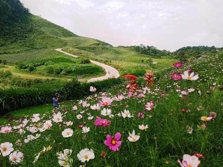 ムーラの美しくクリアな自然の写真。