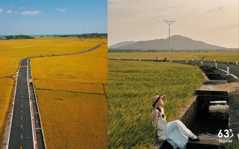 Check-in cánh đồng lúa An Nhứt với cung đường đẹp nhất nhì Bà Rịa - Vũng Tàu