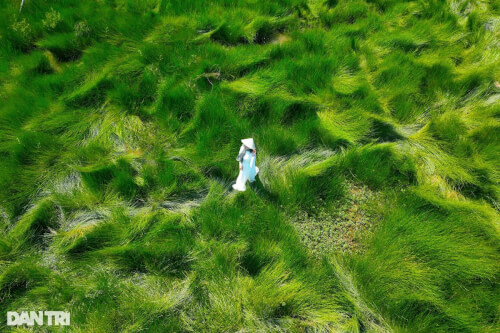 中部地方唯一の魅惑的で美しい芝生広場「神のご加護」