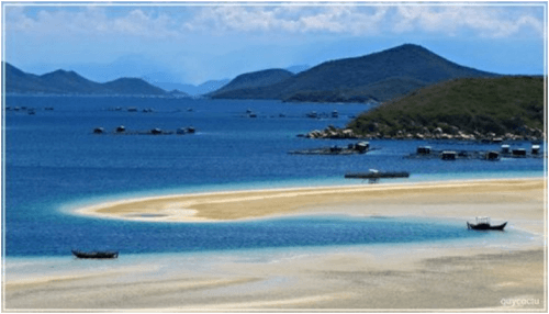 담몬의 아름다움