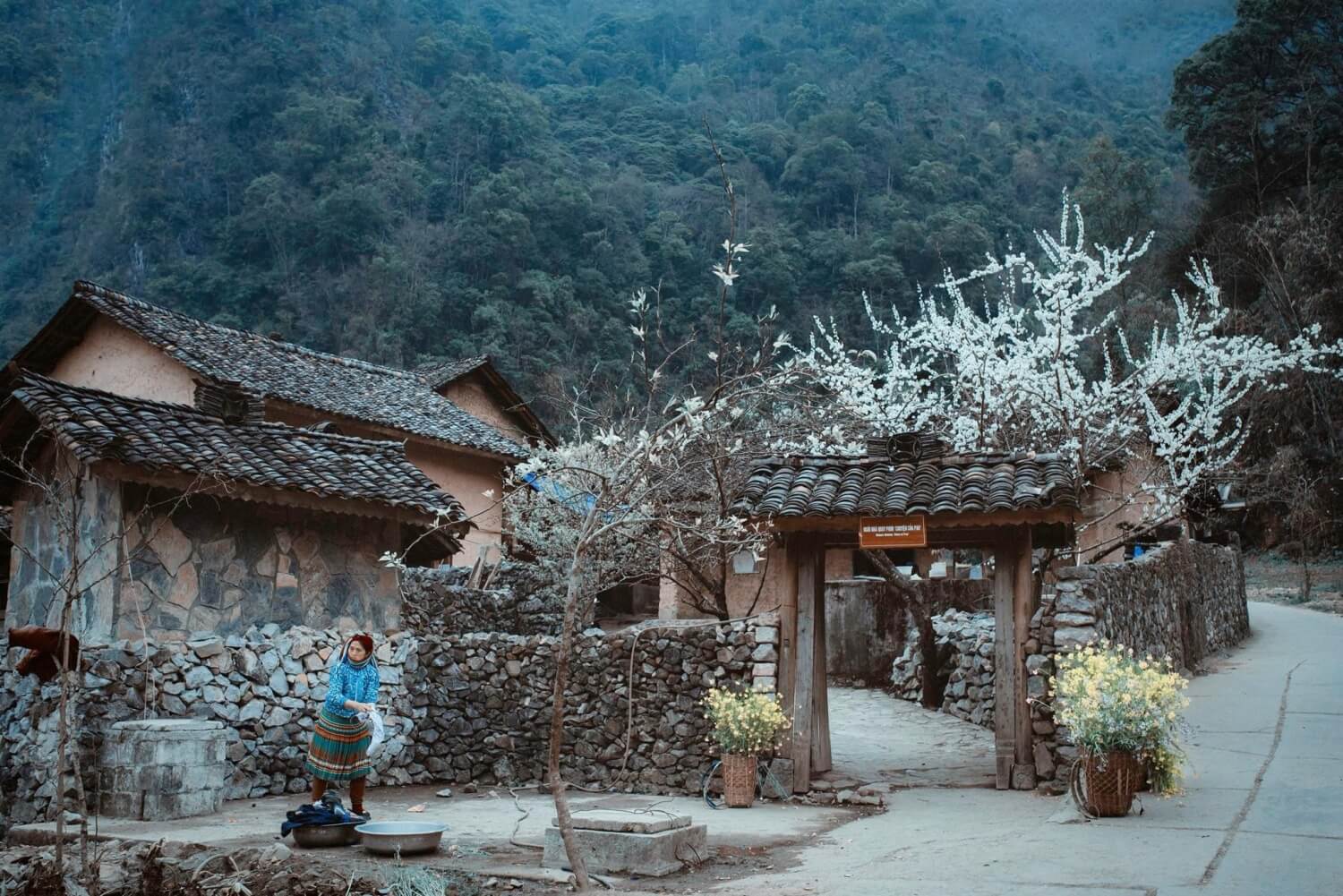 Escape to Tranquility: The Enchanting Allure of Nha cua Pao
