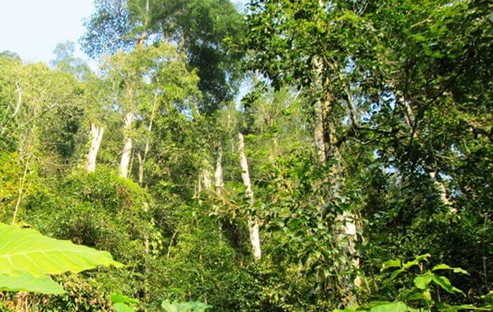 キム・ヒ自然保護区は厳重に保護、管理されています