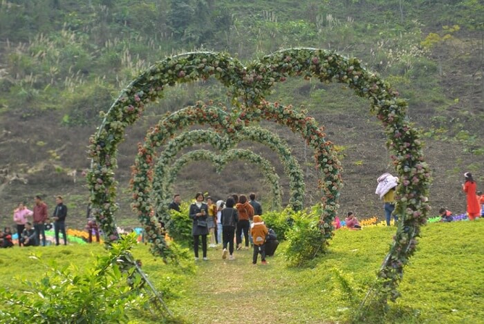 Bình Nguyên Xanh Khai Trung