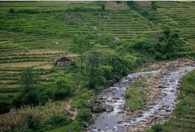 Một Y Tý rất đỗi nên thơ