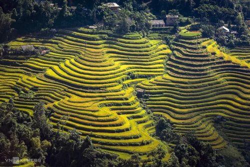 Hùng vĩ ruộng bậc thang Hoàng Su Phì