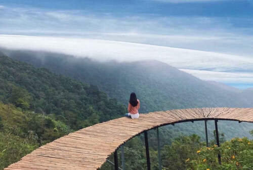 美しいチェックインの楽園、タム ダオ クラウド ブリッジ、帰り道を忘れる