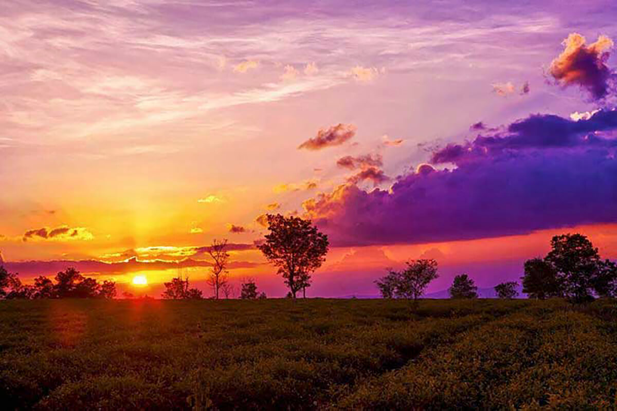 비엔호체의 아름다운 풍경