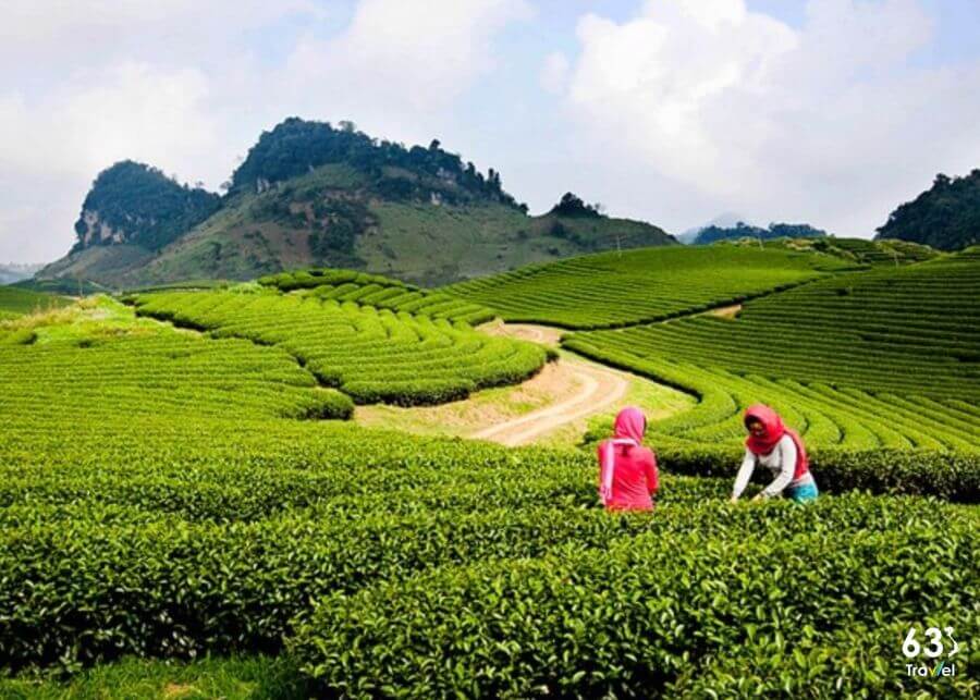 Mê đắm cảnh sắc thiên nhiên vùng núi ở Mộc Châu