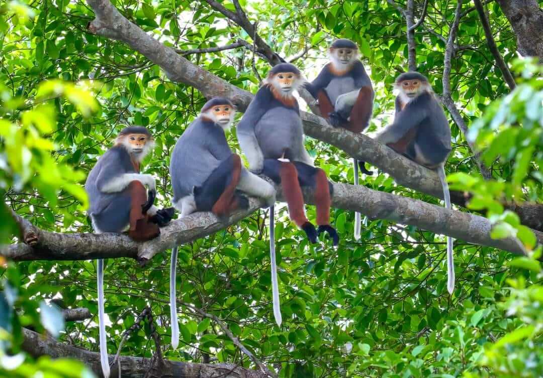 Đây là địa danh mà hầu hết chỉ những người dân địa phương hay những phượt thủ đam mê những trải nghiệm mới lạ tìm hiểu và biết đến.