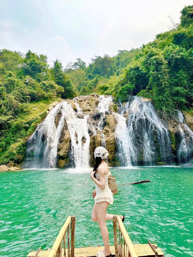 原生林の中に佇み、野生のままの自然を残した滝