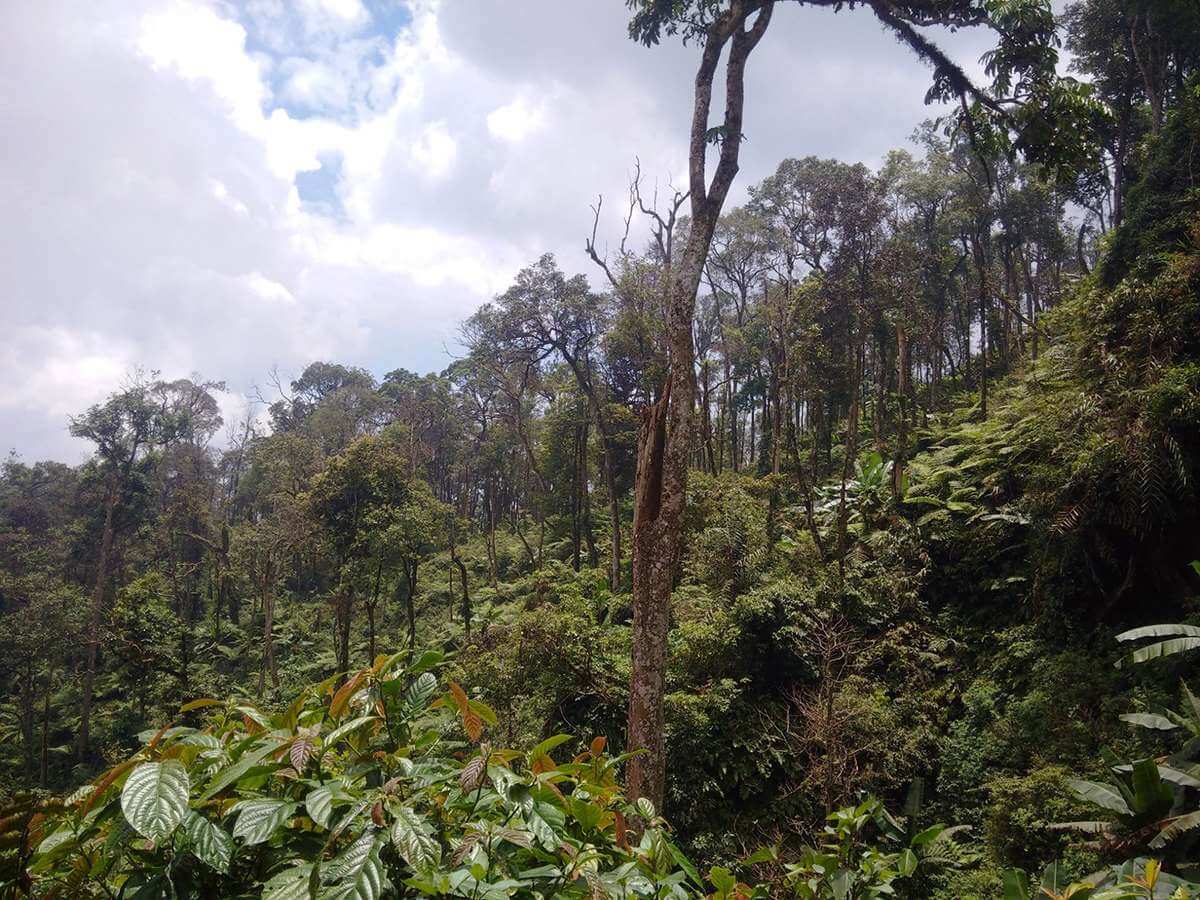 나하우 자연보호구역