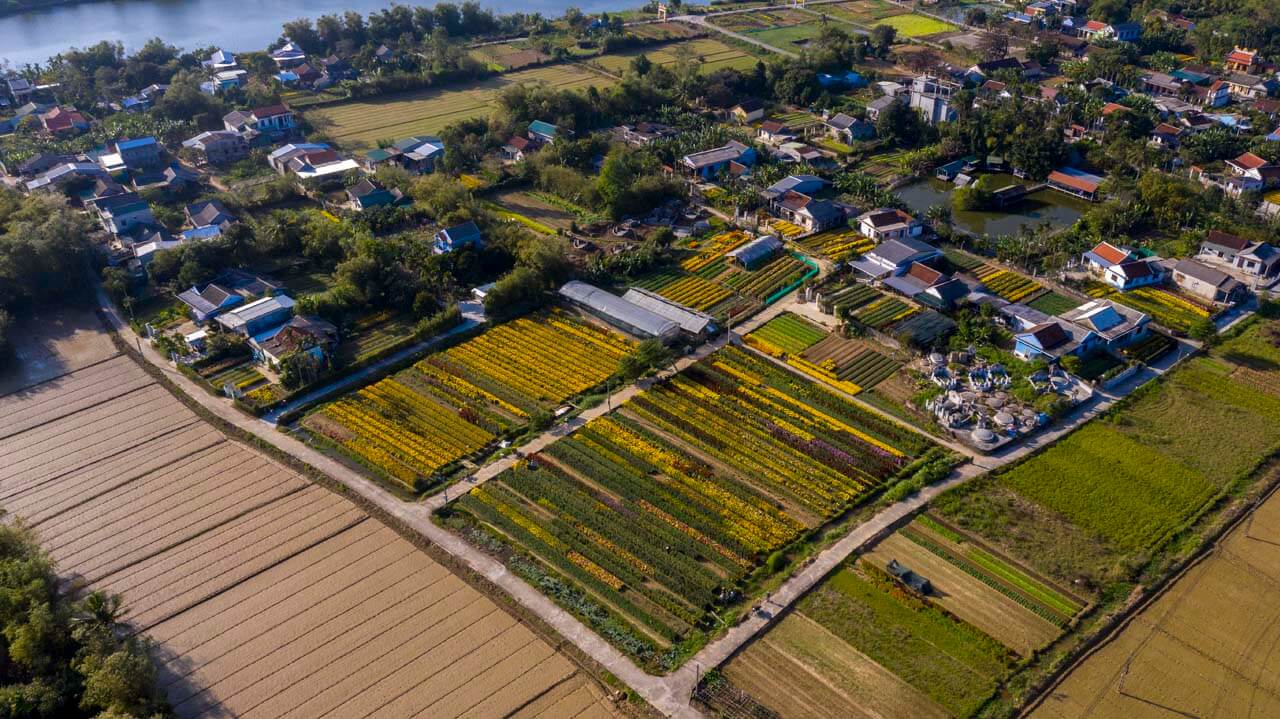 Làng Hoa Phú Mậu – Khu Vườn Sắc Màu Trong Hơi Thở Tĩnh Lặng Của Huế