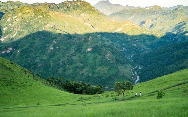 涼しげな緑のフィエンムオン草原。