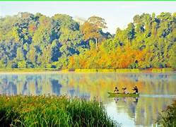 カッティエン国立公園の埃から逃れる