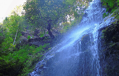 Thác khỉ điểm du lịch độc đáo của vườn quốc gia Chư Mom Ray