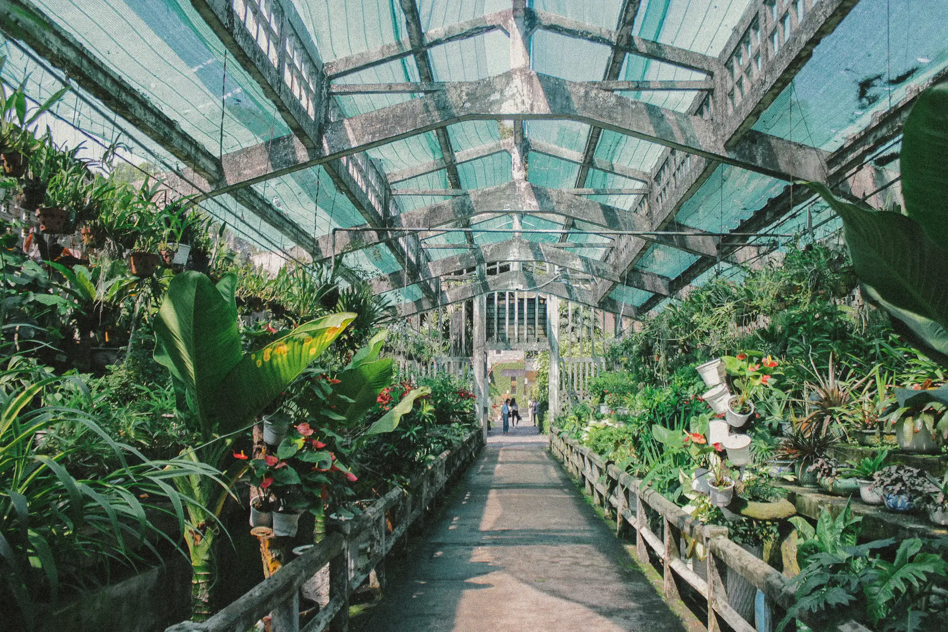 豊かな植物相を探索する