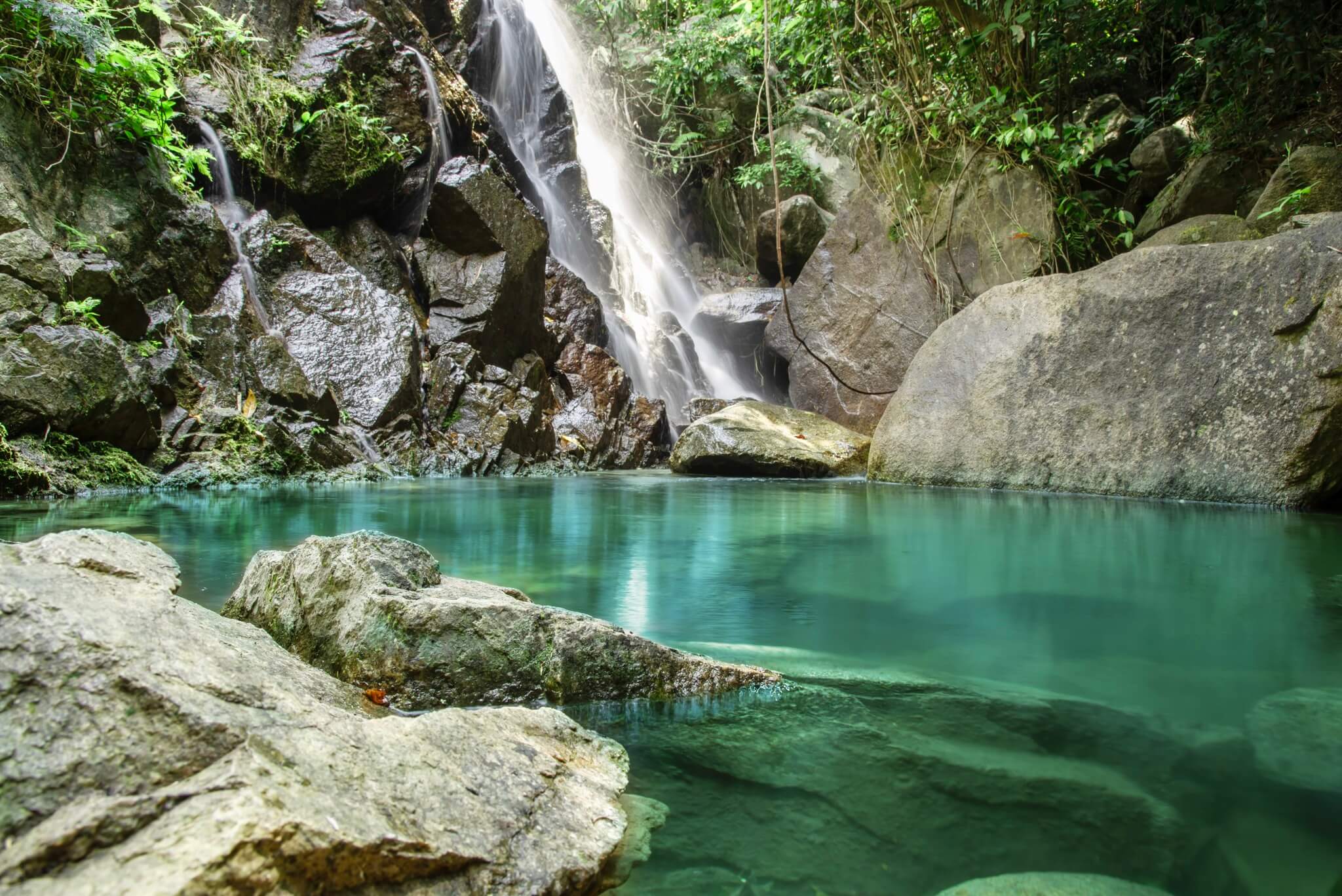 この場所は、夏の暑い日差しから逃れ、自然に戻りたい人にとって理想的な場所です。