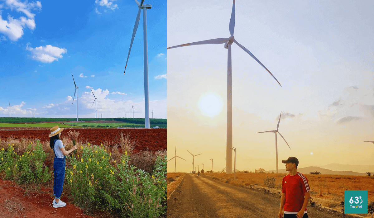 Check-in cực thơ thẩn với Cánh Đồng Quạt Gió Đắk Đoa (Gia Lai)