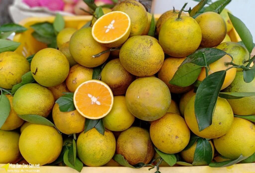 Features Cao Phong Orange Festival in Hoa Binh | gymnastics