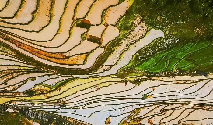 洪水期のタレンの雄大な段々畑。