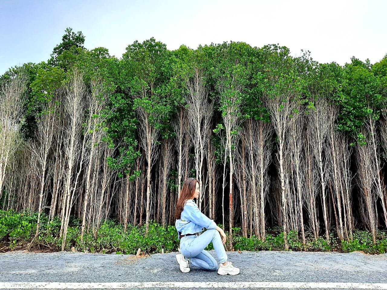 Review travel experience Can Gio one day.