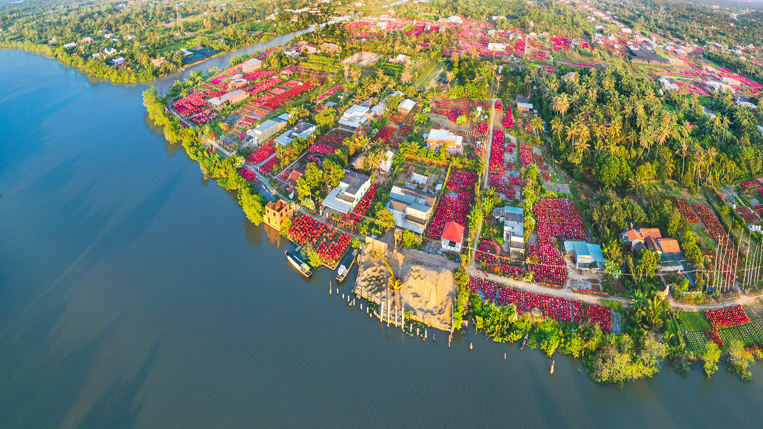 南部で最も古いブーゲンビリア栽培村の 1 つであるフーソン花村 (ベンチェ、チョーラック地区、フーソンコミューン) は、この地域最大のブーゲンビリア庭園とみなされています。