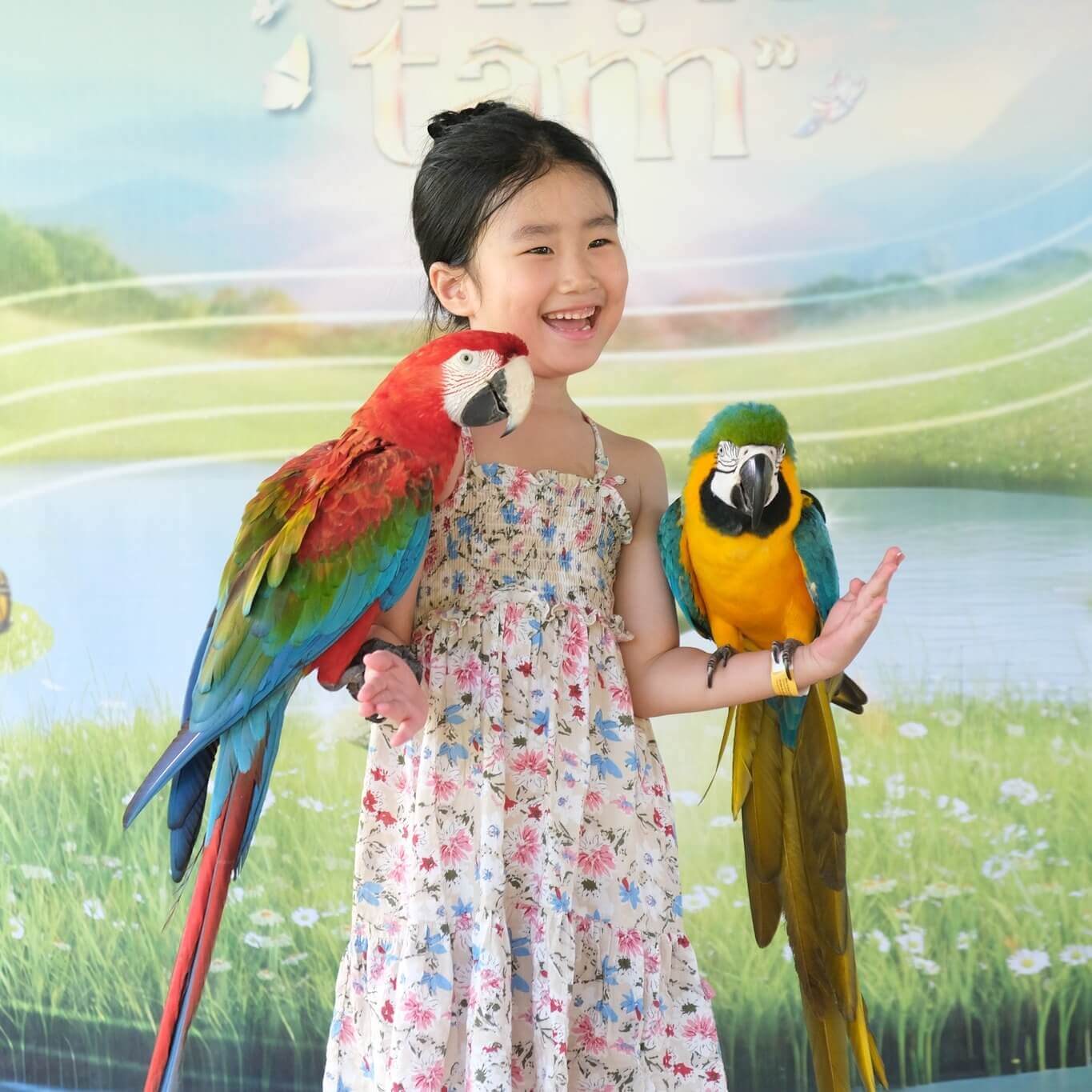 Vinpearl Safari Phú Quốc