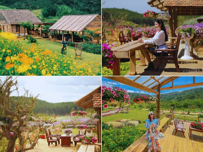 The Florest - Hoa Trong Rừng