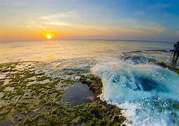 ハンライに行って山に登り、ビーチでバーベキューパーティーをし、美しいサンゴを眺めましょう