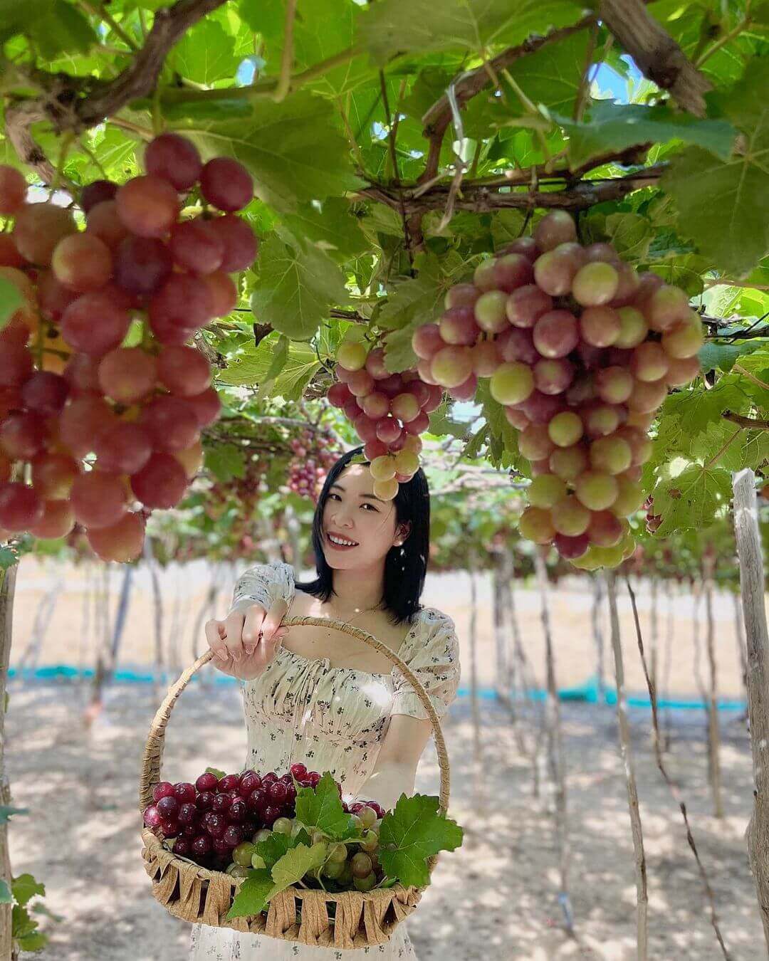 CAVE - GREENER - SHEEP FIELD