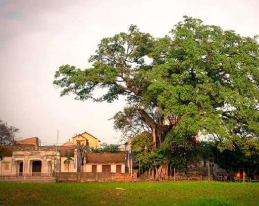 チャウロー寺院