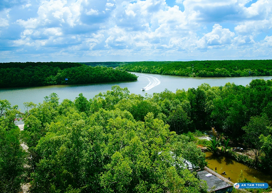 「水上基地」サックカンジオの森 - サイゴン近郊の超魅力的​​な目的地