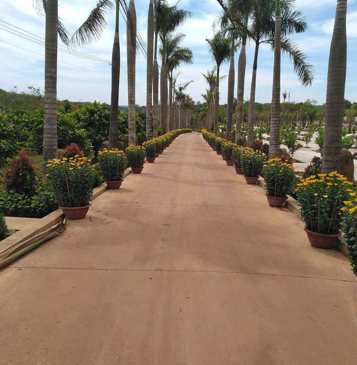 Khu du lịch Phước Sơn