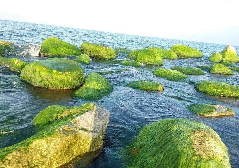 Explore Xom Ro - The most unique green moss rock village in Phu Yen.