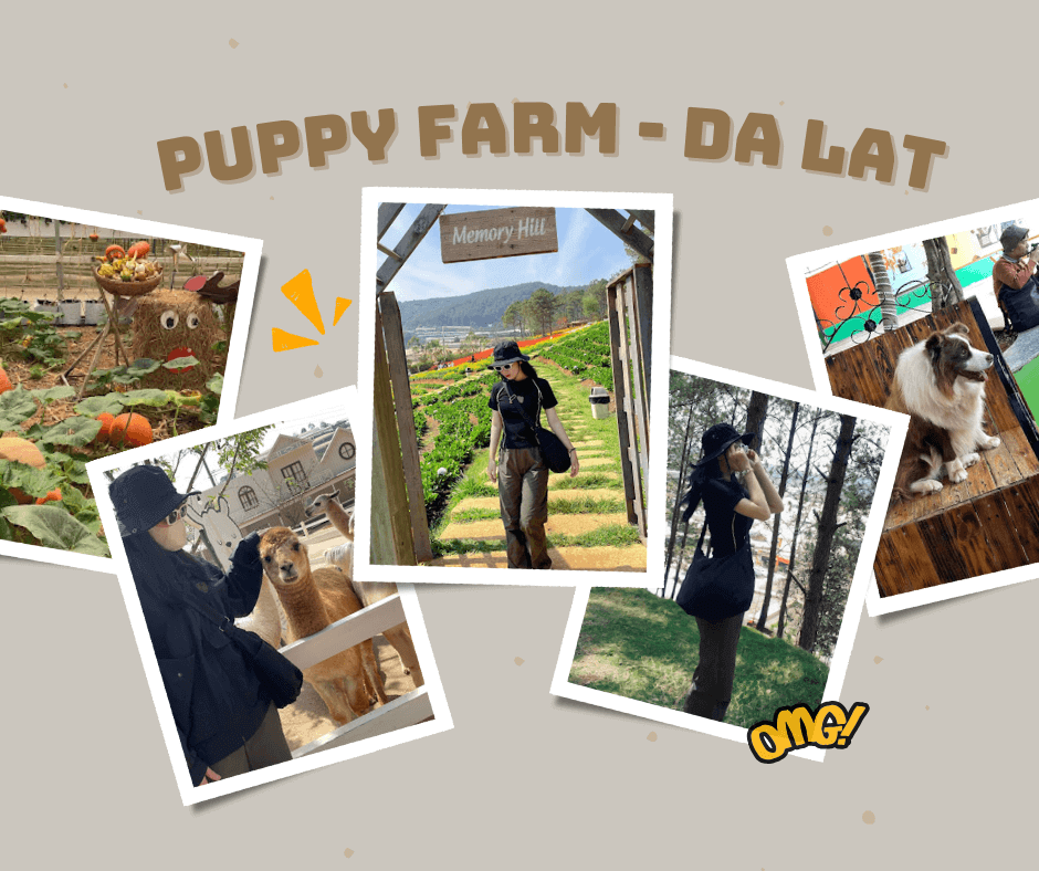 PUPPY FARM - DA LAT
