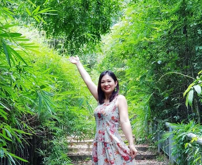 涼しい緑の竹林は観光客にとって非常に「クール」な仮想生活背景です