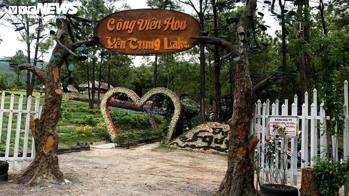 クアンニン中心部の「ミニチュア・ダラット」にある黄金の日差し、緑の松