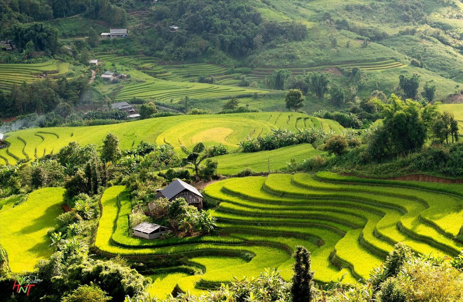ダオサン高原は美しい自然景観と涼しく過ごしやすい気候に恵まれています。